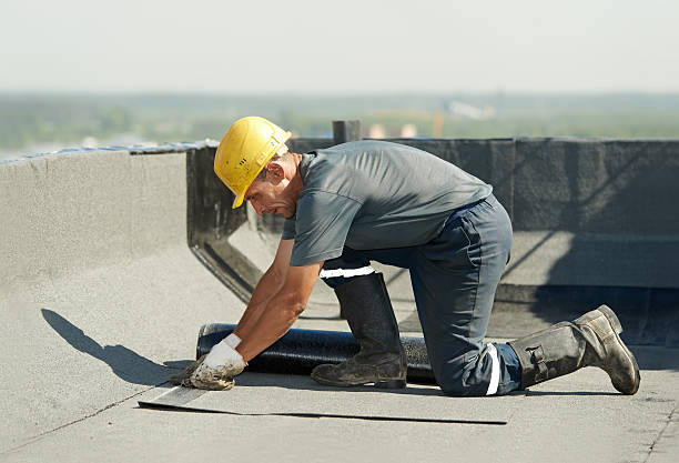 Best Residential Insulation in South Greeley, WY