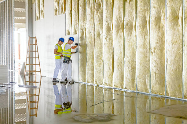 Best Types of Insulation in South Greeley, WY